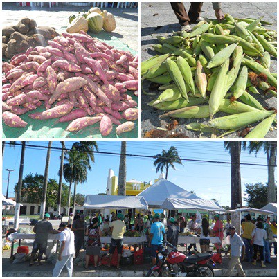 4ª Semana - Eixo Economia - 10 dicas de economia doméstica